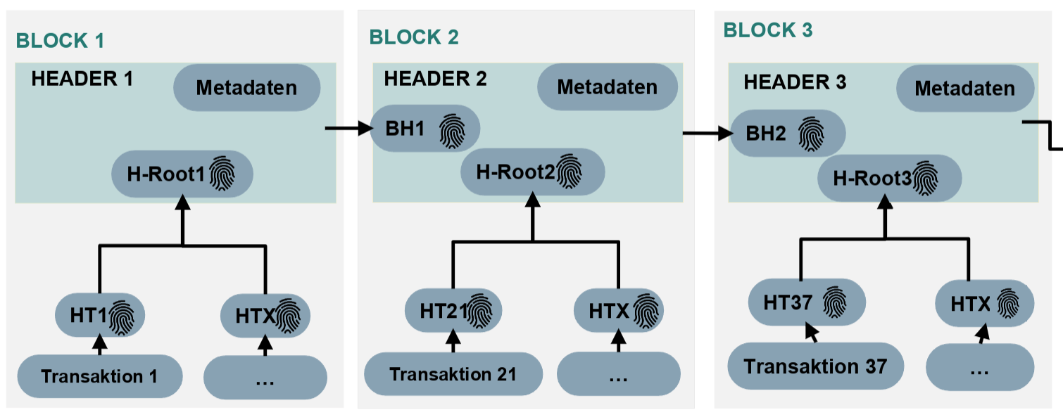 images/DatenstrukturEinerBlockchain/Datenstruktur einer Blockchain6.png